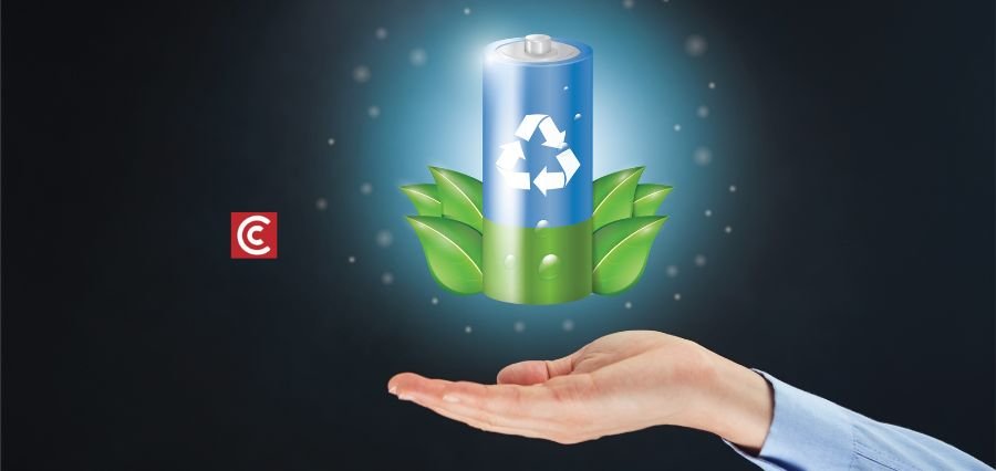 Read more about the article Canada Develops Eco-Friendly Tree Pulp Battery That Disappears in Soil in 60 Days